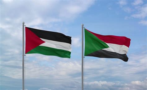 Palestinian-Sudanese Voices of War: Witnessing War in Sudan and Palestine