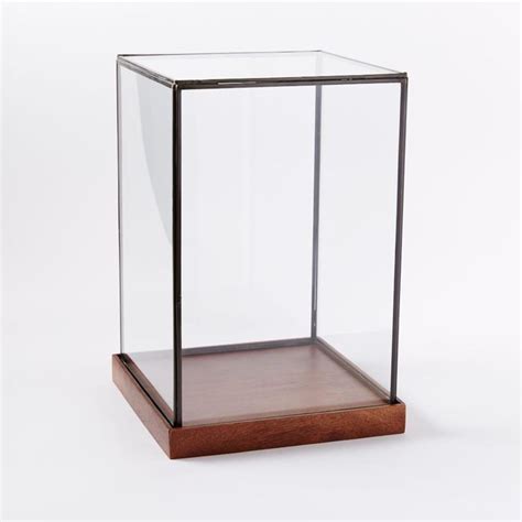 Modern Furniture, Home Decor & Home Accessories | west elm | Wood glass, Glass display box ...