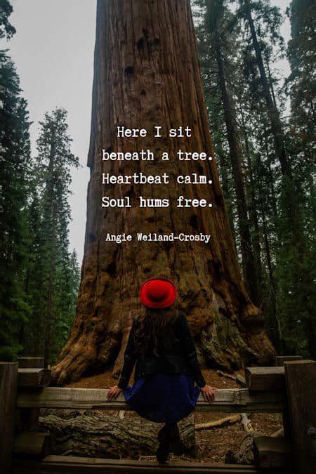 Tree Quotes & Tree Poetry that Branch to Your Soul | Mom Soul Soothers