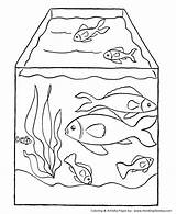 Free Coloring Pages Of Fish sketch template