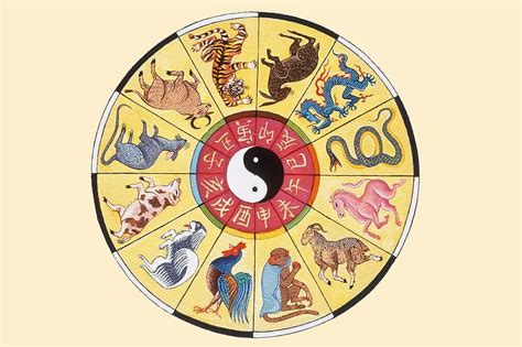 Lo zodiaco giapponese - Matteoingiappone
