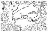 20  Catfish Coloring Pages Free Printable PDF & Online Coloring sketch template