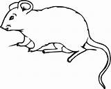 Mouse Coloring Pages sketch template