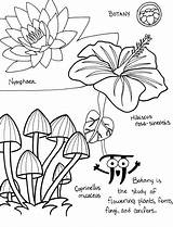 Botanical Coloring Pages Coloring sketch template