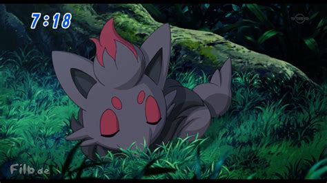 Zorua - Pokémon Photo (19189869) - Fanpop