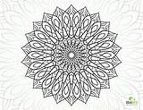 Complex Flower Coloring Pages  Home sketch template