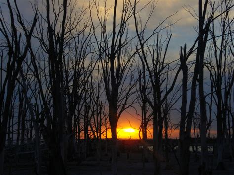 CAMINANDO LA PAMPA: El bosque muerto, atardecer en Villa Epecuén ...