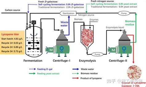 连续发酵培养方式的优选 - 知乎