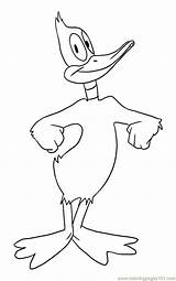 Daffy duck coloring Pages To Download And Print For Free sketch template