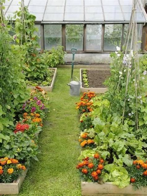 Backyard Vegetable Garden Ideas Florida - South Florida Chefs Grow ...