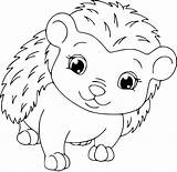 Coloring Pages  Hedgehog sketch template