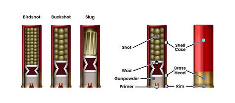 Beginner’s Guide To Shotgun Choke Tubes: Chart & Breakdown | Academy