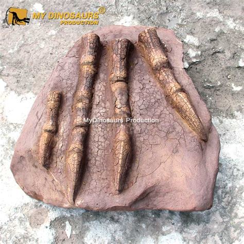 Dinosaur Claw Fossil Plateosaurus Toe Bone Cast | MyDinosaurs