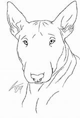 Bull terrier coloring Page Free Printable Pages – Artofit sketch template