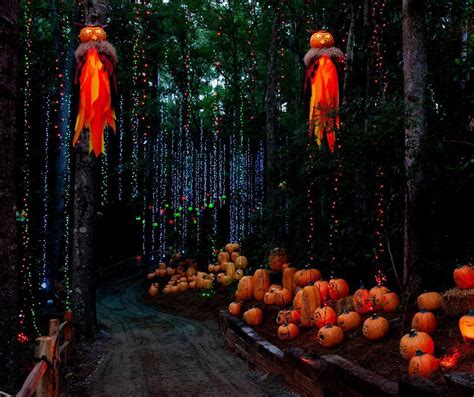 This Illuminous Pumpkin Bash Has Magically Transformed Callaway Gardens - Secret Atlanta