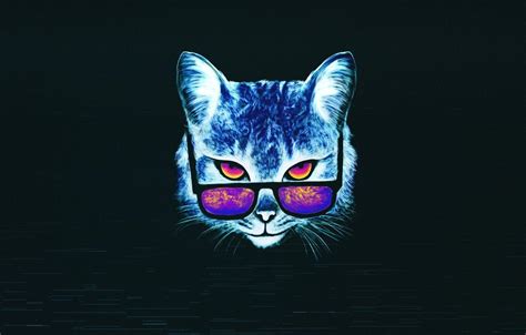 Neon Cat Wallpapers - Top Free Neon Cat Backgrounds - WallpaperAccess