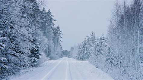 Download Forest Tree Snow Road Nature Winter HD Wallpaper