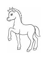 Horse colt coloring Sheet sketch template