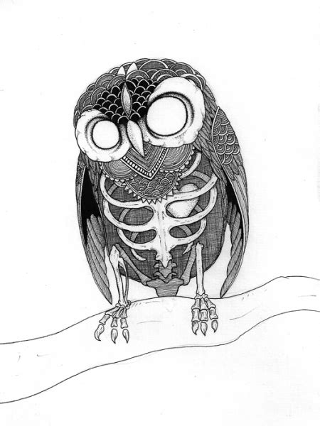 Scary Owl Drawing at GetDrawings | Free download