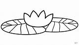 Lily Pad coloring Page  Free Printable Coloring Pages sketch template