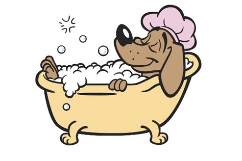 Fun bathing clipart 20 free Cliparts | Download images on Clipground 2024