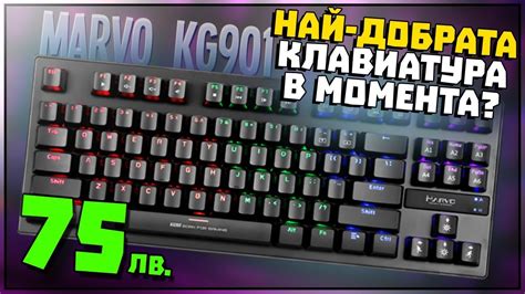 Краля на бюджетните механични клавиатури-Marvo Scorpion KG901 Review ...