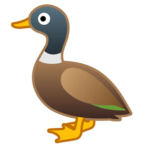 mallard duck png