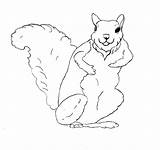 Squirrel Adult Coloring Pages sketch template