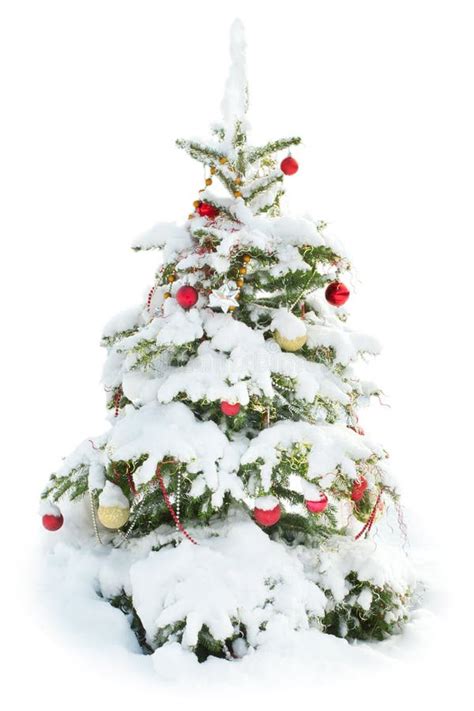 Verzierter Weihnachtsbaum Unter Dem Schnee Getrennt Stockbild - Bild ...