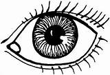 Eyes Coloring Eye Drawing Kids Color Draw Sheet Drawings Step Clipart  sketch template