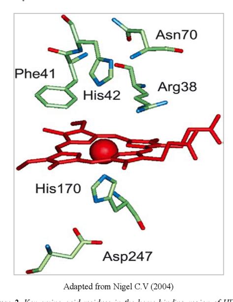 Table 1 from Structure, Function and Applications of a Classic Enzyme: Horseradish Peroxidase ...