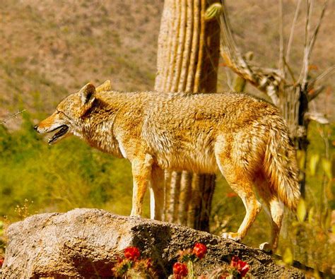 Los diez lugares más insólitos de México