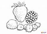 Berries Coloring Pages Printable For Free Download sketch template