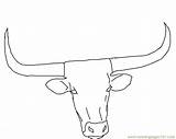 Texas Longhorn Coloring Pages  Home sketch template