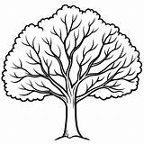 Elm tree Outline coloring book Page Line Art Drawing  Premium AI sketch template