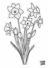 Detailed Coloring Pages Free Printable  Color This Life sketch template