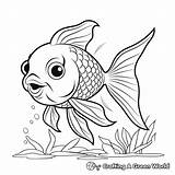 Goldfish Coloring Pages  Free & Printable sketch template