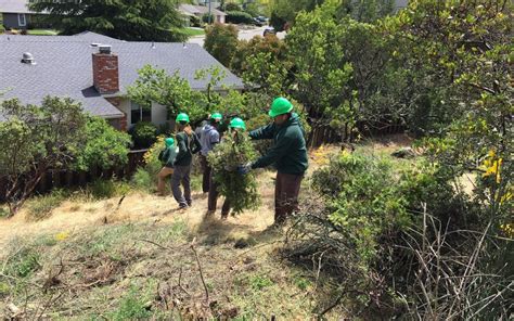 August 2019 Project Spotlight: Fire Fuel Reduction - Conservation Corps ...