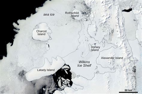 What broke up the Wilkins Ice Shelf? | National Snow and Ice Data Center