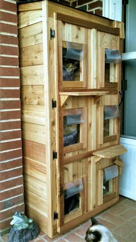 Feral cat house, Outdoor cat shelter, Outside cat house