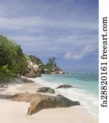 Free art print of Shell on tropical beach. Nautilus shell on white sand beach of tropical ...