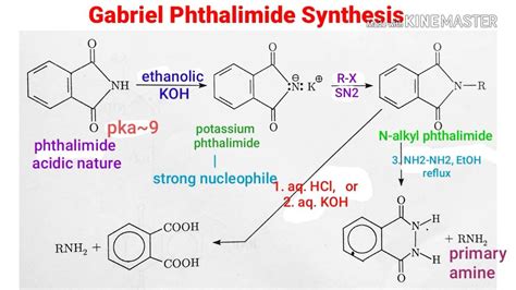 gabriel amine synthesis