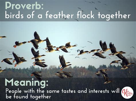 Idiom/Proverb: birds of a feather flock together