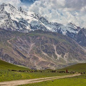 CHITRAL GOL PARK: NATIONAL PARK OF CHITRAL - Tripako