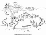 116 Pollywog Stock Vectors And Vector Art  Shutterstock sketch template