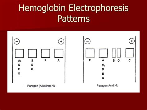 PPT - A Brief Overview of Hemoglobin Electrophoresis PowerPoint Presentation - ID:269981