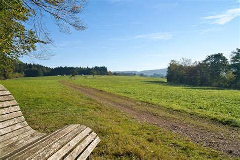 Premium Photo | Meadow with hiking trail in rhinelandpalatinate view over field with trees