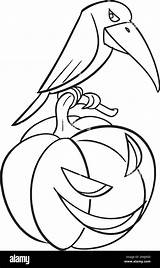 Crow Coloring Pages sketch template