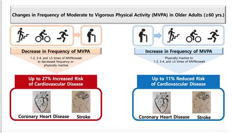 Increased exercise over the age of 60 reduces | EurekAlert!