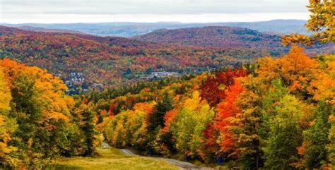 Fall foliage map shows when and where the leaves will peak in Quebec ...